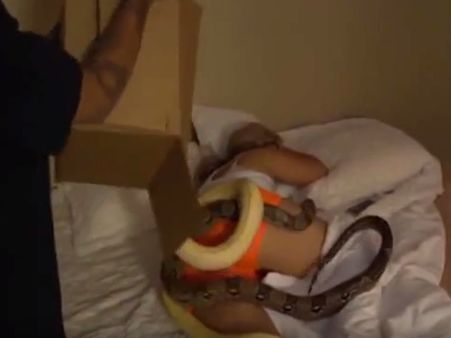 കാമുകിയുടെ ശരീരത്തില്‍ പെരുമ്പാമ്പുകളെ കൊണ്ടിട്ടു; പിന്നീട് നടന്നത് ഞെട്ടിപ്പിക്കുന്നത്,വീഡിയോ കാണാം