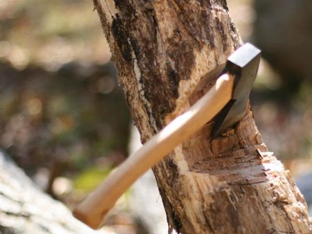 മരം വെട്ടുന്നത് തടയാന്‍ ശ്രമിച്ച യുവാവിനെ വെട്ടി പ്രതികാരം