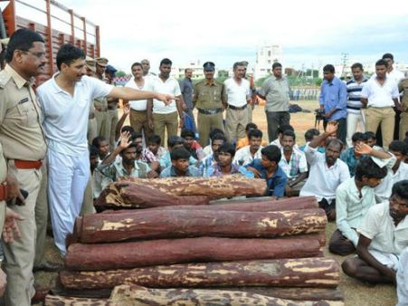 തടിക്കച്ചവടത്തിന്റെ മറവില്‍ കള്ളപ്പണം വെളുപ്പിക്കുന്നു; പെരുമ്പാവൂരില്‍ ആദായ നികുതി വകുപ്പ് റെയ്ഡ്