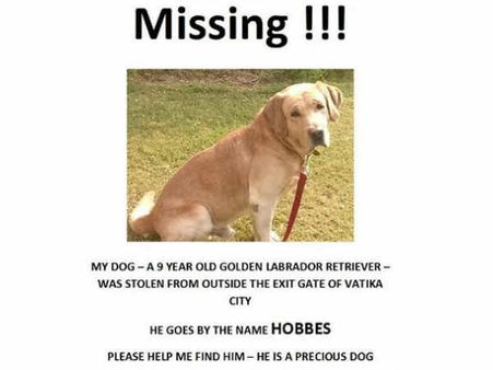 നായയെ മോചിപ്പിക്കാനായി ഉടമ നൽകിയ തുക എത്രയെന്നോ..!!! ദുരൂഹത നിറഞ്ഞ കടത്തൽ കഥ...