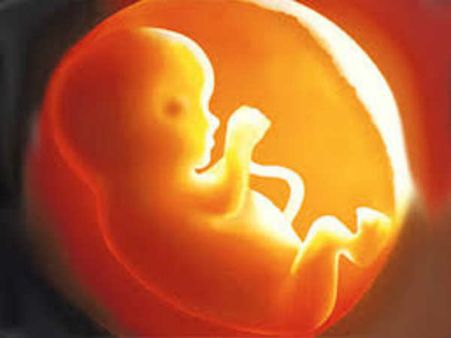 ഓവുചാല്‍ വൃത്തിയാക്കാന്‍ ഇറങ്ങിയ പ്ലംബര്‍ ഞെട്ടി, പൈപ്പിനകത്ത് മനുഷ്യഭ്രൂണം!!!, സംഭവം ഞെട്ടിക്കും...