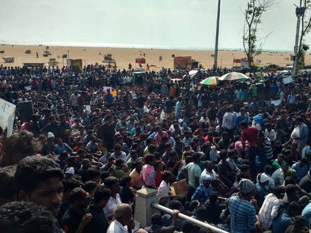 ജെല്ലിക്കെട്ട് നിരോധനം: വെള്ളവും വെളിച്ചവുമില്ലാതെ സമരക്കാര്‍..ഇടപെടില്ലെന്ന് മദ്രാസ് ഹൈക്കോടതി..!!