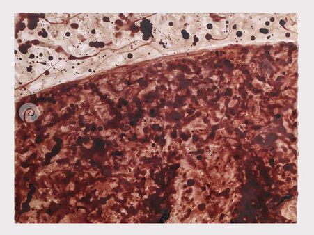 ഒമ്പത് മാസത്തെ ആര്‍ത്തവ രക്തം ഉപയോഗിച്ച് യുവതിയുടെ ചിത്രരചന! ദി ഡയറി ഓഫ് മൈ പിരീഡ്....