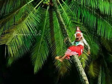 തെയ്യം കലാകാരന് തെങ്ങിൽ നിന്ന് വീണ് ഗുരുതര പരിക്ക് !!! ഞെട്ടലോടെ ഭക്തർ... വീഡിയോ