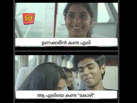 ഉണക്കമീന്‍ കണ്ട എലി? ആനന്ദം നായിക 'സിദ്ധി'ക്ക് ഫേസ്ബുക്കില്‍ കൊല്ലുന്ന ട്രോള്‍... എന്താണ് സംഭവം?