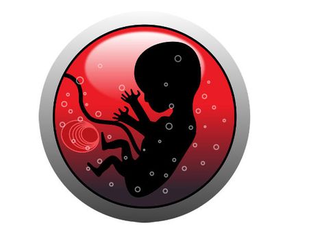 നോ സെക്‌സ്... ഇതാ ഒരു കൃത്രിമ എലിഭ്രൂണം; ഇനി മനുഷ്യ ഭ്രൂണവും ഉണ്ടാക്കും; ഭക്ഷണമാക്കുമോ എന്ന് ഭയം