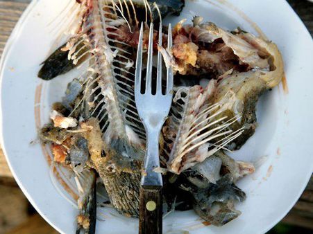 മത്തായിയുടെ തൊണ്ടയിൽ നിന്ന് മീൻമുള്ള് പുറത്തെടുത്തു!!! മുള്ളുമായി നടക്കാൻ തുടങ്ങിയിട്ട് 30 വർഷം..!!!