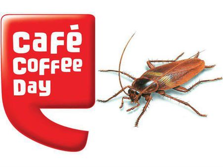 'കഫേ കോഫി ഡേ'യിലെ ഫ്രിഡ്ജിൽ നിറയെ പാറ്റകൾ !!! ചോദ്യം ചെയ്ത ഉപഭോക്താവിന് മർദ്ദനം...!! വീഡിയോ