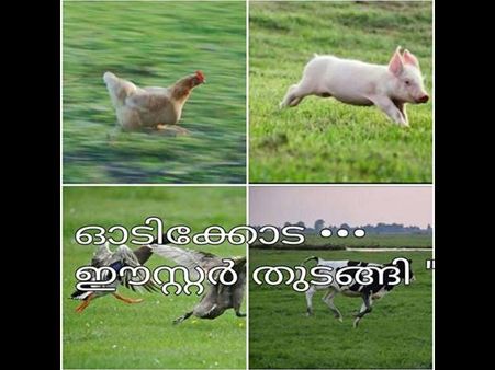 യേശുവിനെ കുരിശിലേറ്റിയല്ല ക്രൂശിച്ചത്... അത് വരയൻ തൂണ്!!! കൊല്ലുന്ന ട്രോളുകൾ