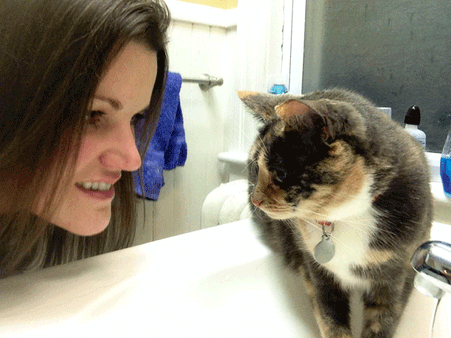 ഓഫീസില്‍ പൂച്ചകളെ ലാളിക്കൂ,ടെന്‍ഷനില്ലാതെ പണിയെടുക്കാം....'പൂച്ചനയം' ജപ്പാനില്‍