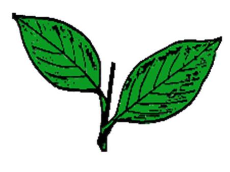 ചരല്‍ക്കുന്ന് ക്യാമ്പ് തീരുമാനത്തില്‍ ഉറച്ചുനില്‍ക്കുമെന്ന് കേരള കോണ്‍ഗ്രസ് എം