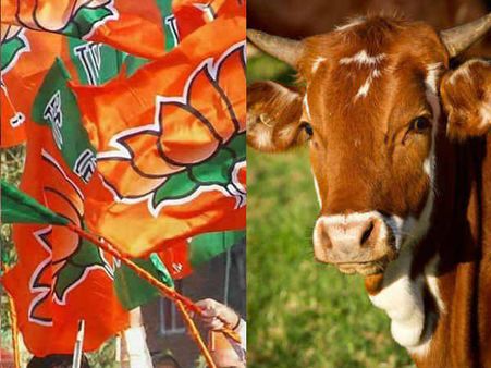 മുട്ടുമടക്കി മോദി സർക്കാർ...!! കന്നുകാലി കശാപ്പ് നിരോധന വിജ്ഞാപനം കേന്ദ്രം ഭേദഗതി ചെയ്യും...!!