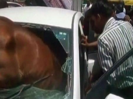 ചേട്ടാ.. ഒന്നു മാറിയിരുന്നേ ഞാൻ ഡ്രൈവ് ചെയ്യാം!!കുതിരയുടെ വാഹന സവാരി!!! വീഡിയോ വൈറലാകുന്നു