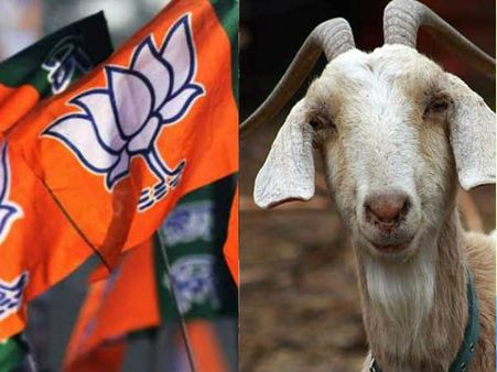 പശു ദേശീയമൃഗമെങ്കില്‍ ആട് ദേശീയ സഹോദരി ..!! സംഘികൾക്ക് കൺഫൂഷനായല്ലോ !! നേതാവ് ട്രോളിയതാണോ...?