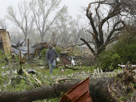 മുഖ്യമന്ത്രിയുടെ വാക്കിന് പുല്ലുവില!! അക്കേഷ്യ മരങ്ങൾ വീണ്ടും നട്ടുപിടിച്ച് വനംവകുപ്പ്!!