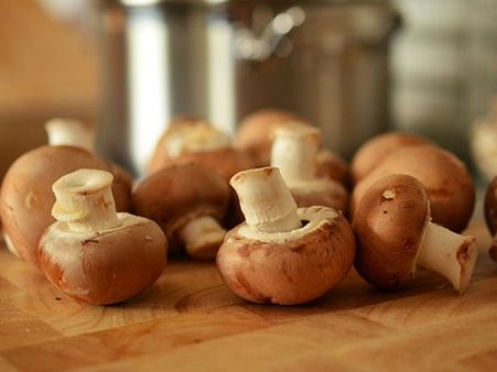 കാട്ടുപോത്തിന്റെ ചാണകത്തിൽ മുളയ്ക്കുന്ന മാജിക്ക് മഷ്റൂം! കൂണിന്റെ ലഹരി തേടി യുവാക്കൾ മൂന്നാറിലേക്ക്