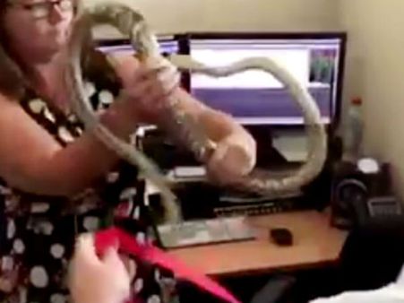 ന്യൂസ് റൂമില്‍ ഒരു പാമ്പ്!!! പക്ഷേ ഈ പെണ്‍ ധൈര്യത്തിന് മുന്നില്‍ ആരും തോറ്റുപോകും...വീഡിയോ