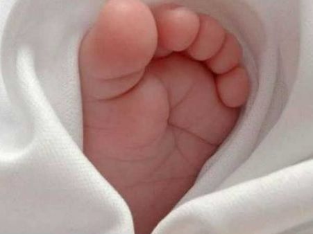 മഹാരാഷ്ട്രയിൽ ശിശുമരണത്തിന് കാരണം മരങ്ങൾ; ഞെട്ടിപ്പിക്കുന്ന വിവരം വെളിപ്പെടുത്തി ആശുപത്രി അധികൃതർ