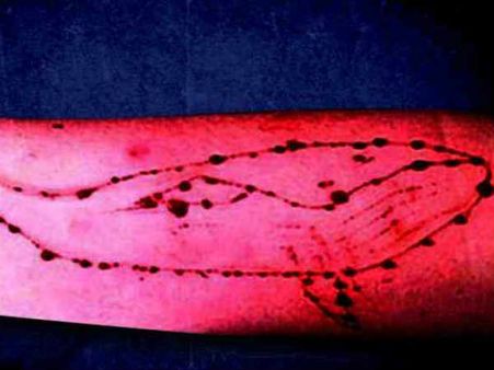 ബ്ലൂവെയിലില്‍ കുരുങ്ങി ഒരു ജീവന്‍കൂടി; സ്‌നേഹം മാത്രം, യുവാവിന്റെ ഫേസ്ബുക്ക് ലൈവ്