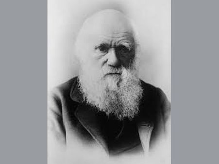 ഡാര്‍വിന്റെ പരിണാമ സിദ്ധാന്തം സ്‌കൂള്‍ പാഠപുസ്തകങ്ങളില്‍ നിന്ന് മാറ്റുന്നു; തുര്‍ക്കിയില്‍ വിവാദം