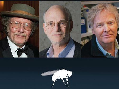 വൈദ്യശാസ്ത്ര നൊബേൽ പ്രഖ്യാപിച്ചു; ജൈവ ഘടികാരത്തിന്‍റെ രഹസ്യം തേടിയ ശാസ്ത്രജ്ഞര്‍ക്ക് പുരസ്കാരം