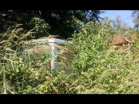 പോലീസ് സ്റ്റേഷനിൽ കാട് മൂടി കിടക്കുന്ന വാഹനങ്ങൾ കൂടുമ്പോൾ ആർക്കാണ് ലാഭം