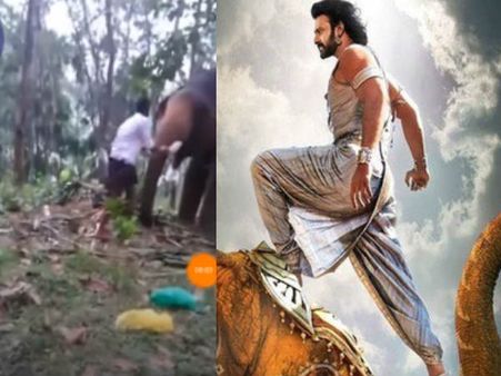 തൊടുപുഴയിൽ ആനയുടെ മുന്നിൽ ബാഹുബലിയാവാൻ യുവാവ്.. ഫേസ്ബുക്കിൽ ലൈവ്.. ആനയുടെ സൂപ്പർ ഗോളടി!