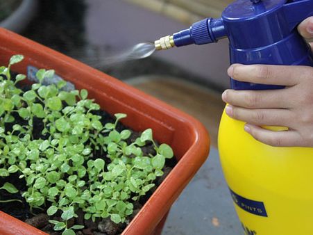 ഗാർഹിക കീടനാശിനികളുടെ വിൽപ്പന നിയന്ത്രണത്തിന് കർശന നടപടി