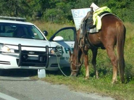 വെള്ളമടിച്ച് വാഹനം മാത്രമല്ല, കുതിര സവാരിയും നിഷിപ്തം, അറസ്റ്റ് വരെ നടക്കും... അസാധാരണ സംഭവം!