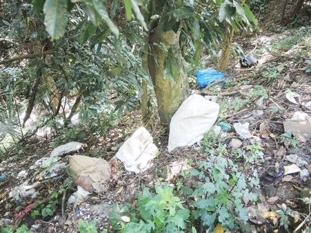 പക്രം തളം ചുരം റോഡ് വന മേഖലയില്‍വ്യാപക മാലിന്യ നിക്ഷേപം:വനം വകുപ്പ് അധികൃര്‍ തിരിഞ്ഞു നോക്കുന്നില്ലെന്ന് പരാതി