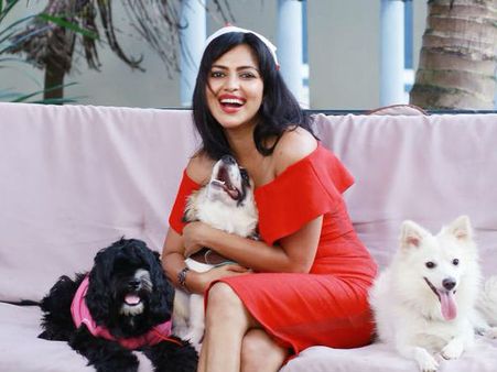 'ക്രിസ്മസ് ആയിട്ട് മര്യാദയ്ക്ക് തുണി എടുത്തൂടേ'... അമലാ പോളിന് നേരെ സദാചാര വാദികളുടെ സൈബർ ആക്രമണം...