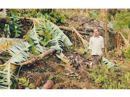 ചുഴലിക്കാറ്റില്‍ പശുക്കടവില്‍ വന്‍ കൃഷിനാശം; 5ലക്ഷം രൂപയുടെ നഷ്ടം