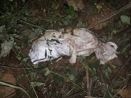 റോഡരികിലെ പുല്‍ക്കാട്ടില്‍ വെള്ളത്തുണിയില്‍ പൊതിഞ്ഞ് കാണപ്പെട്ടത്...