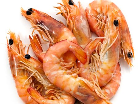 ചെമ്മീന്‍ ഇസ്ലാമിന് അനുവദനീയമല്ല!! കഴിക്കരുതെന്ന് ഫത് വ, ആഹാരത്തില്‍ കത്തിവെച്ച് മതപഠനകേന്ദ്രം