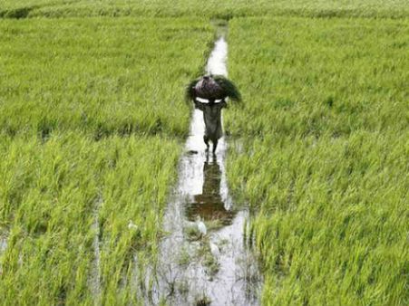 കാര്‍ഷിക മേഖല തളര്‍ച്ചയില്‍, കര്‍ഷകനും തൊഴിലാളിയും വളരുന്നില്ല, കൈവിടാതെ ധനമന്ത്രി