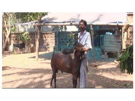 ഇത് ബെന്യാമിന്‍റെതല്ല, അബ്ദുറഹ്മാന്‍റെ ആടു ജീവിതം !!