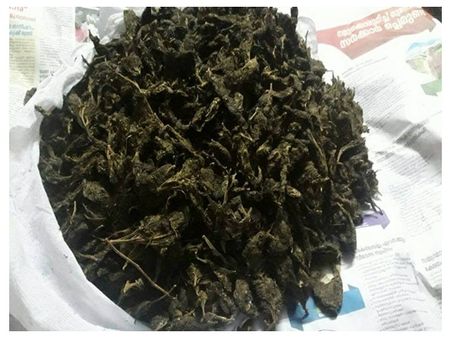 എന്‍ ഐ ടി ഹോസ്റ്റലില്‍ പോലീസ് നടത്തിയ റെയ്ഡില്‍ കഞ്ചാവുമായി വിദ്യാര്‍ഥി അറസ്റ്റില്‍