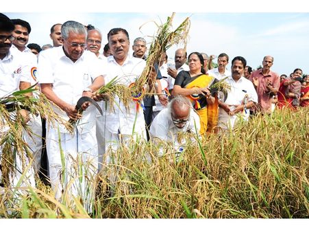 ജനങ്ങളും പോലിസും ഒന്നിച്ചു; എച്ചൂര്‍വയലിലെ 133 ഹെക്ടര്‍ തരിശ് ഭൂമിയില്‍ വിളഞ്ഞത് നൂറുമേനി