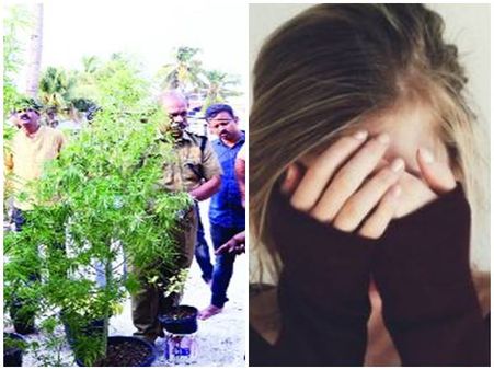 അമ്മയുടെ രോഗത്തിന് വൈദ്യൻ പറഞ്ഞ മരുന്ന് കഞ്ചാവ്! ടെറസ്സിൽ കഞ്ചാവ് നട്ട മേരിയുടെ മൊഴി വിചിത്രം