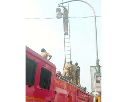 കുറ്റിപ്പുറം സംസ്ഥാന ഹൈവേയുടെ 114 വിളക്കുകളില്‍ ഒരെണ്ണംപോലും പ്രകാശിച്ചില്ല.. ലക്ഷങ്ങളുടെ നഷ്ടം