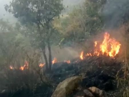 അതിരപ്പിള്ളിയിൽ കാട്ടുതീ പടരുന്നു! തീ അണയ്ക്കാൻ 60 അംഗ സംഘം വനത്തിനുള്ളിലേക്ക്...