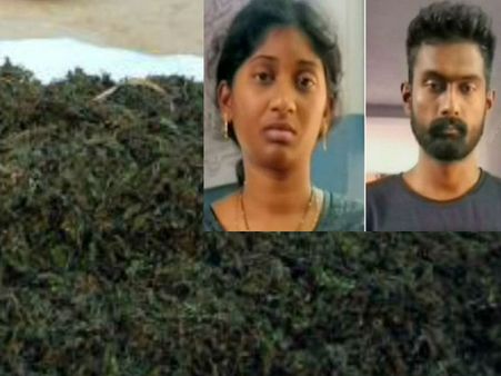 മലപ്പുറത്ത് വൻ കഞ്ചാവ് വേട്ട! കാറിനുള്ളിൽ 60 കിലോ കഞ്ചാവ്... യുവതി അടക്കം മൂന്നു പേർ പിടിയിൽ