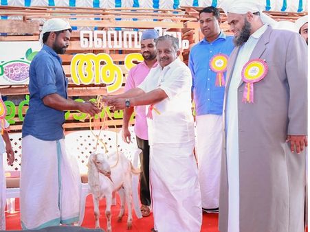 മലപ്പുറത്തെ അഞ്ഞൂറ് കുടുംബങ്ങള്‍ക്ക് ആടുവളർത്തലിന്; മന്ത്രി ആടുകളെ വിതരണം ചെയ്തു
