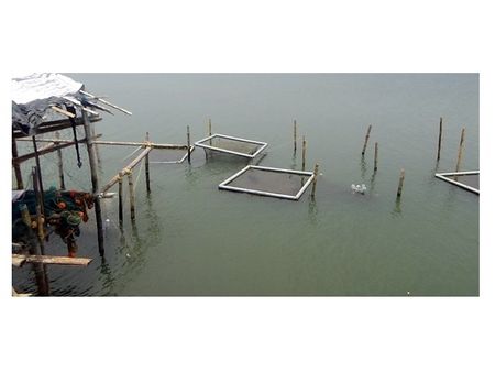 ഭാരതപ്പുഴയിലെ യുവാക്കള്‍ നടത്തുന്ന മത്സ്യകൃഷി കൊള്ളയടിച്ചു, ഏഴ് ലക്ഷം രൂപയുടെ നാശനഷ്ടം