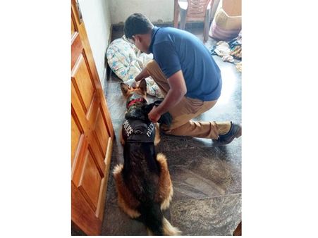 കാസർകോട് വീട്ടില്‍ നിന്ന് 35 പവനും 35,000 രൂപയും കവര്‍ന്ന സംഭവം; മോഷ്ടാക്കളുടെ വിരലടയാളം ലഭിച്ചു