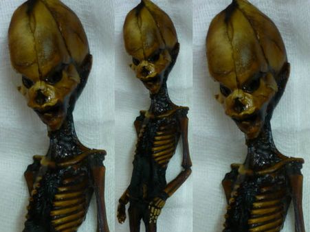 വെറും ആറിഞ്ച് നീളമുള്ള അസ്ഥികൂടം, 10 വാരിയെല്ല്... അത് ആരുടെ? അറ്റക്കാമ അസ്ഥികൂടം അന്യഗ്രഹ ജീവിയോ?