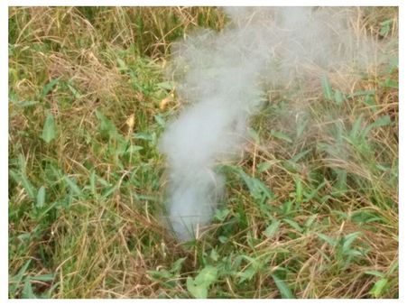 ആലപ്പുഴയില്‍ പാടശേഖരത്തില്‍ ഭൂമിക്കടിയില്‍ നിന്നും പുകവമിക്കുന്നു; ഭീതിയോടെ പ്രദേശവാസികള്‍