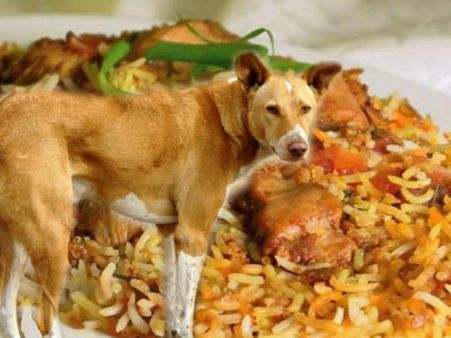 പ്ലേറ്റിൽ കാണുന്നത് ബീഫും മട്ടണുമല്ല! ബിരിയാണി ഉണ്ടാക്കാൻ പട്ടിയിറച്ചിയും പൂച്ചയിറച്ചിയും!