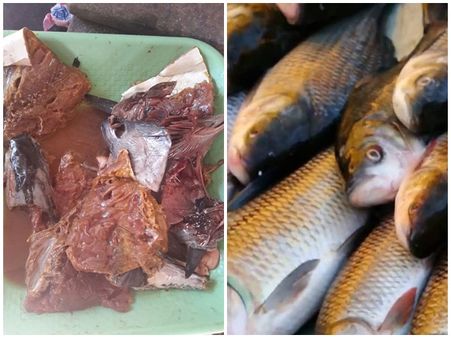 പഴകിയ മത്സ്യങ്ങൾ തിരുവനന്തപുരം മാർക്കറ്റിലെത്തുന്നു, പേരിന് പോലും പരിശോധനയില്ല