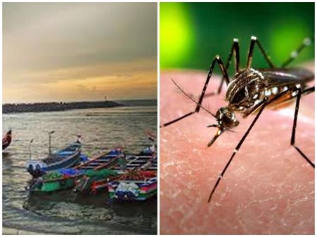 തീരദേശമേഖലകളില്‍ മലമ്പനി വര്‍ധിക്കുന്നു - പനി തടയാൻ കോഴിക്കോട് ഊർജിത നടപടികൾ